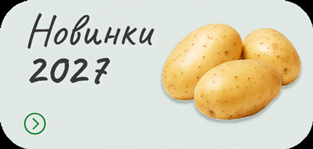 Новинки 2026 года